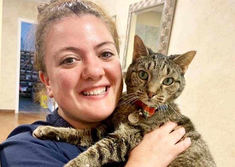 Cat Veterinary Care, Ashburn